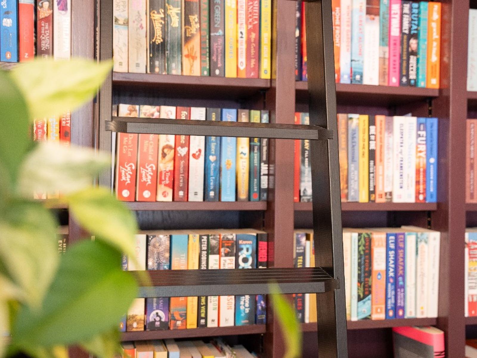 Close-up of a dark sliding library ladder in front of plum painted shelves filled with books